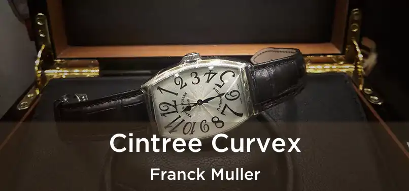  Cintree Curvex Franck Muller