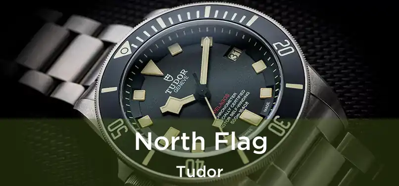  North Flag Tudor