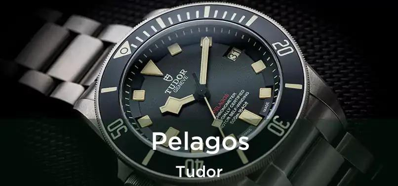  Pelagos Tudor