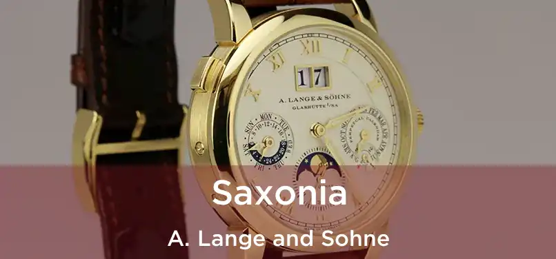  Saxonia A. Lange and Sohne
